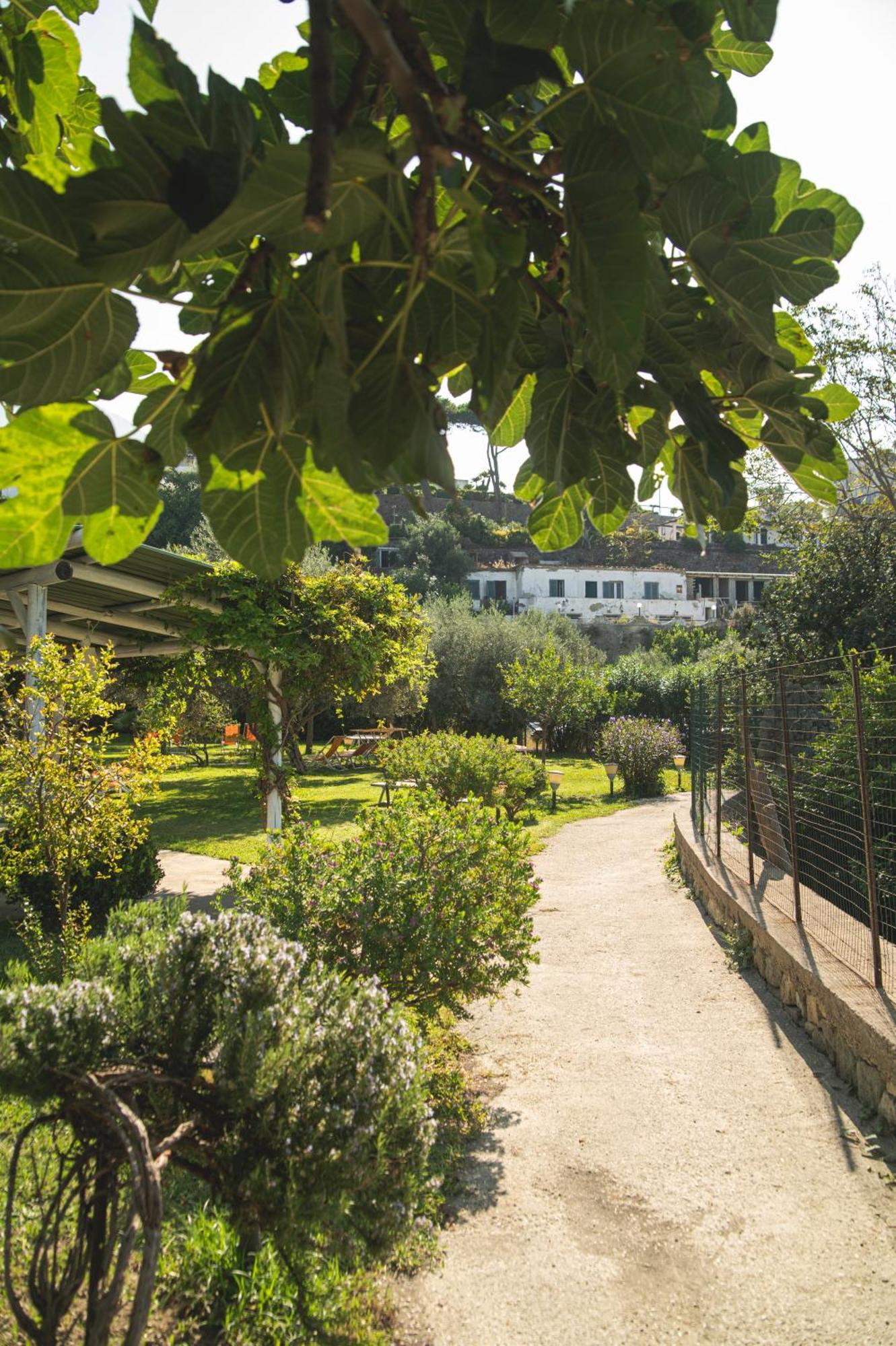 Hotel Park Victoria Forio di Ischia Esterno foto